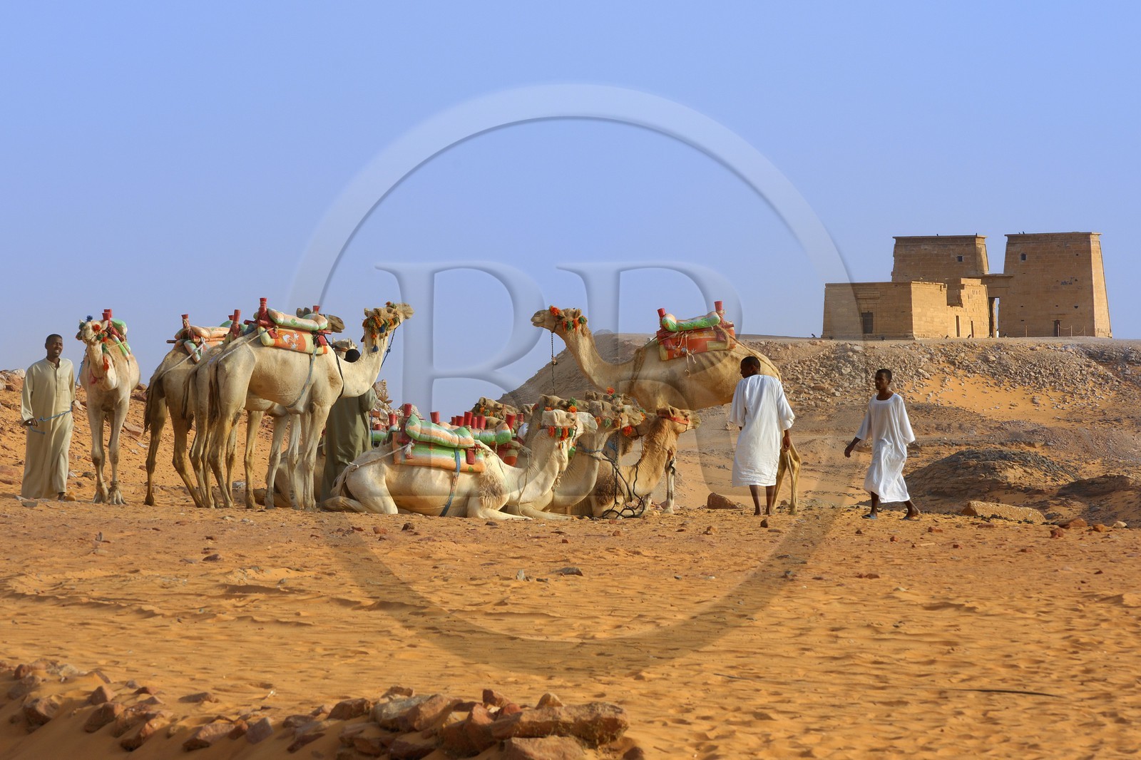Egypte, Haute Egypte, Lac Nasser, désert de Nubie, site de Ouadi es-Seboua ou vallée des lions, temple de Dakka