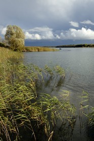 France, Meuse, Lorraine Regional Park, Cotes de Meuse, Heudicourt-sous-les-Cotes, fishermen on Lake Madine