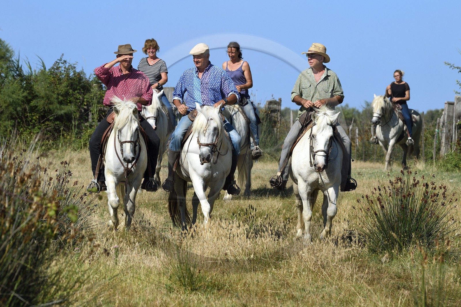 France, Bouches-du-Rhône (13), Parc naturel régional de Camargue, manade Jacques Mailhan, gardian à cheval France, Bouches-du-Rhône (13), Parc naturel régional de Camargue, manade Jacques Mailhan, gardian à cheval