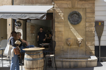 France, Bouches du Rhone, Aix en Provence, Bagniers fountain at the intersection of Bagniers and Chapeliers streets, bronze medallion representing Paul Cezanne after a drawing by Renoir