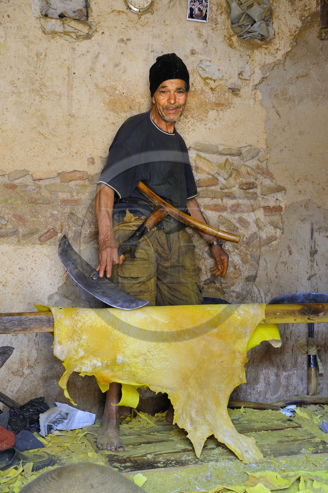 Maroc, Moyen Atlas, Fès, ville impériale, médina classée Patrimoine Mondial de l'UNESCO, Fès el Bali, quartier des tanneurs, Chouara