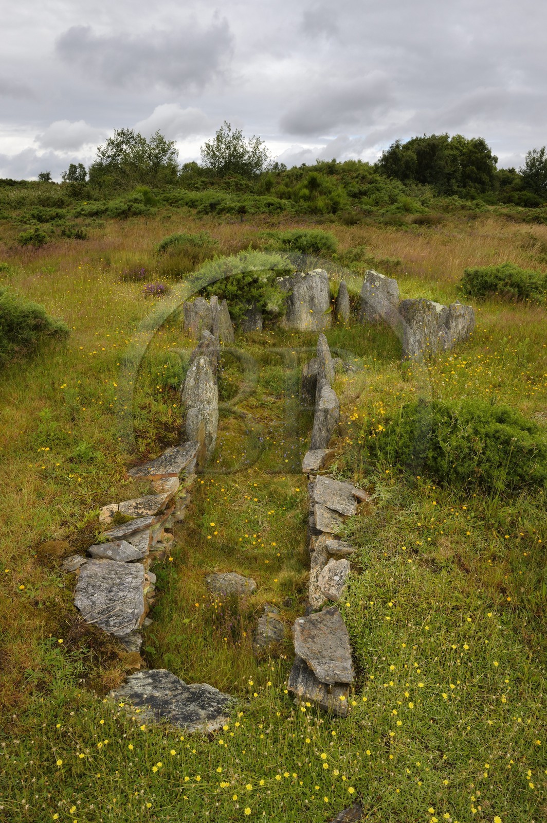 France, Ille-et-Vilaine (35), Saint-Just, monuments mégalithiques de la Lande de Cojoux, dolmen ouest de la Croix Saint Pierre