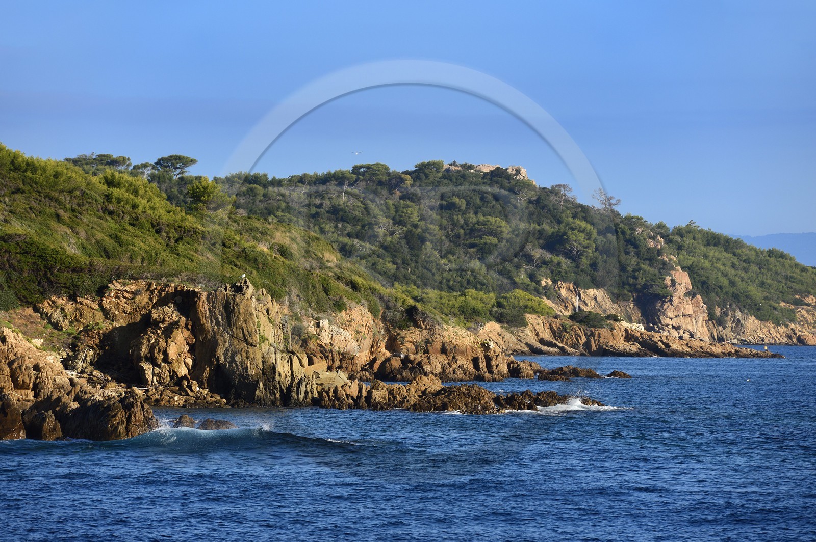 France, Var (83), Iles d'Hyères, parc national de Port Cros, Ile de Port-Cros, Ile de Bagaud qui est une réserve intégrale