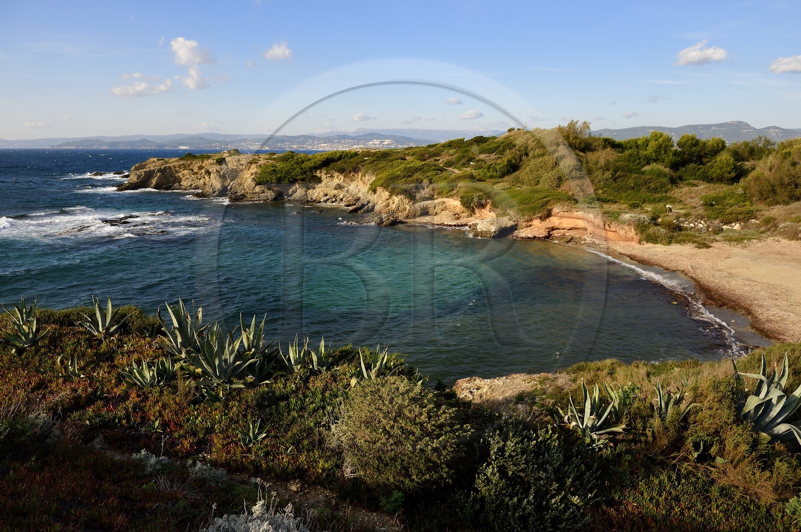 France, Var, Ile des Embiez, Gabrielle beach on the North Coast