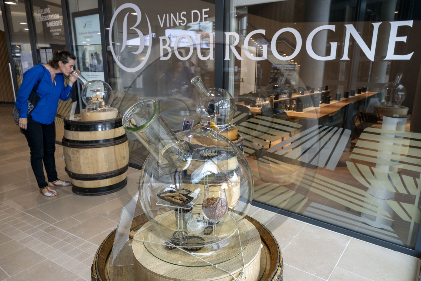 France, Côte-d'Or (21), Dijon, zone classée Patrimoine Mondial de l'UNESCO, Cité Internationale de la Gastronomie et du Vin par l'architecte Anthony Béchu, musée interactif de la gastronomie