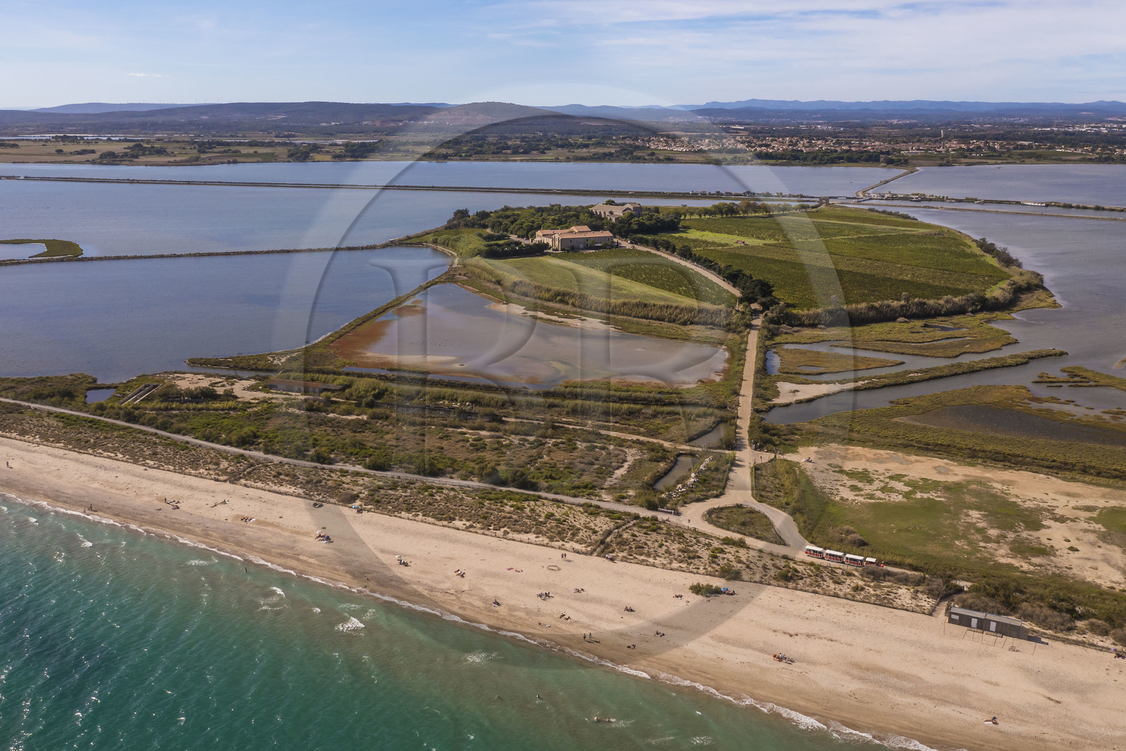 France, Hérault (34), Villeneuve-lès-Maguelone (Palavas-Les-Flots), cathédrale Saint-Pierre-et-Saint-Paul de Maguelone des XIIème et XIIIème siècles entourée de vignes sur son île, la plage du Pilou au premier plan (vue aérienne)