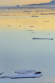 Groenland, cote Nord-Ouest, Smith sound au nord de la baie de Baffin à Inglefield Land, phoque barbu (Erignathus barbatus) allongé sur un morceaux de glace de la banquise arctique