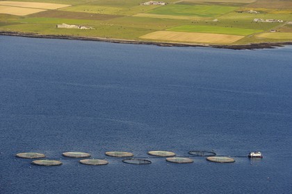 Royaume-Uni, Ecosse, Iles Orcades, Ile de Mainland, pisciculture en mer et champs (vue aérienne)