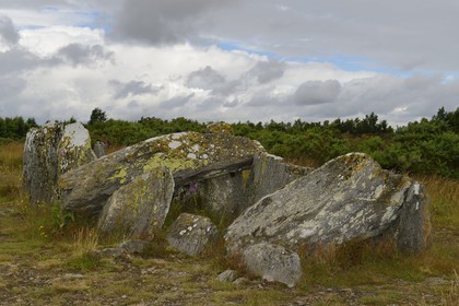 France, Ille-et-Vilaine, Saint-Just, megalithic monuments of the Lande de Cojoux, dolmen, burial with side entrance of Four Sarrazin
