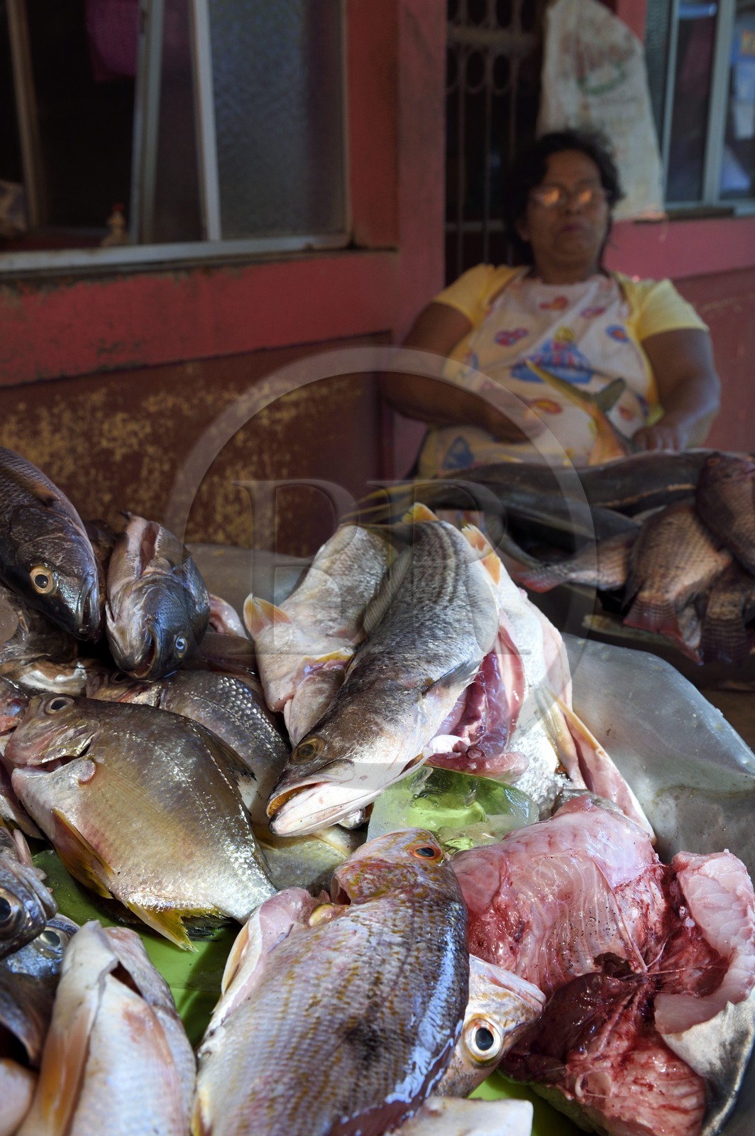 Nicaragua, Leon, marché du quartier de Sutiaba, poissons corvina