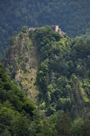 Roumanie, Valachie, Muntenie, Comté de Arges aux abords de la Transylvanie, château de Poenari qui tient une place importante dans la légende de Vlad III l'Empaleur alias Dracula et est réputé pour être hanté