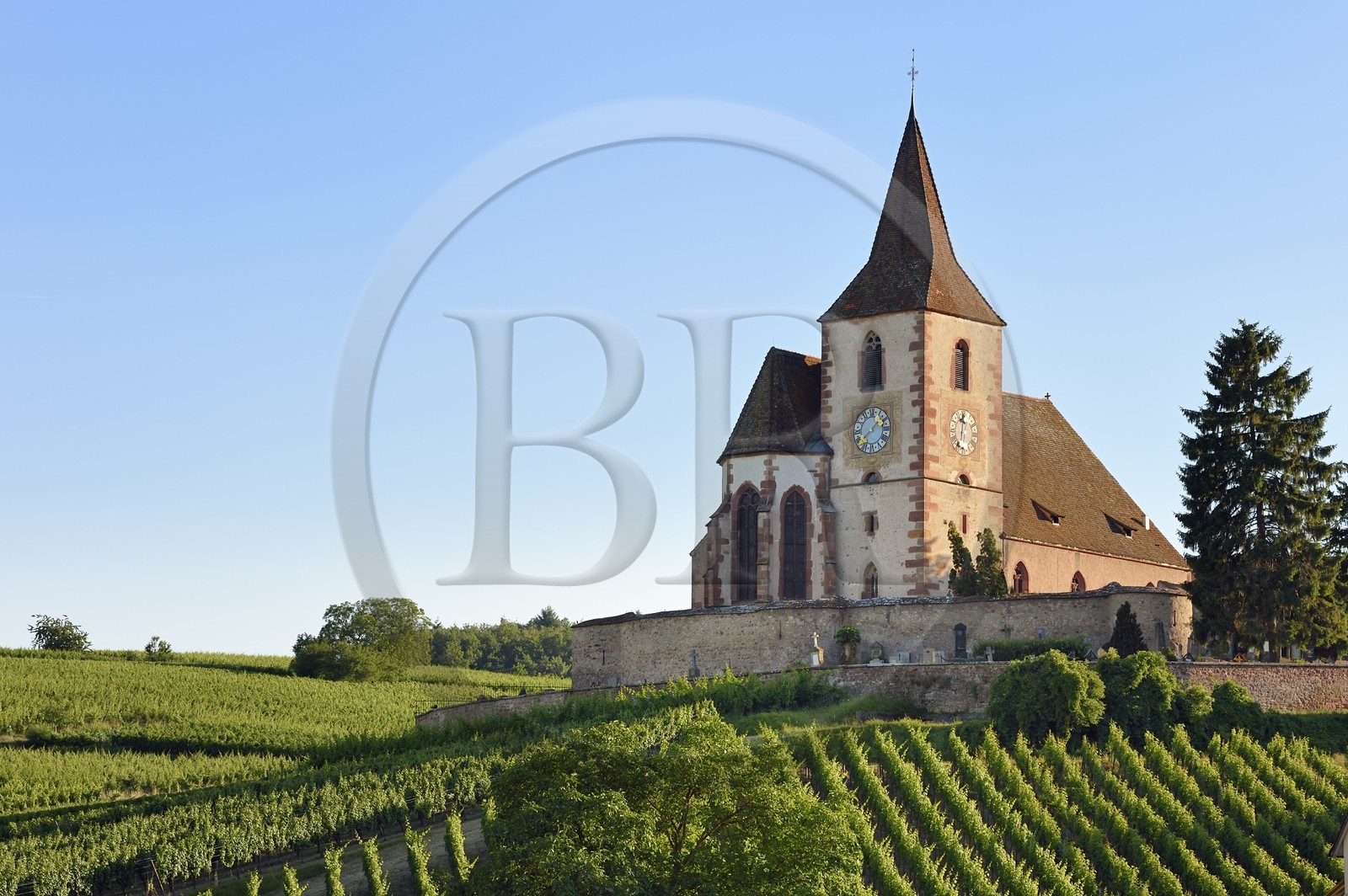 France, Haut-Rhin (68), Route des vins d'Alsace, Hunawihr, labellisé Les Plus Beaux Villages de France, église fortifiée Saint-Jacques-le-Majeur du XIVème siècle fonctionnant en simultaneum (catholique et protestant) et entourée de vignes