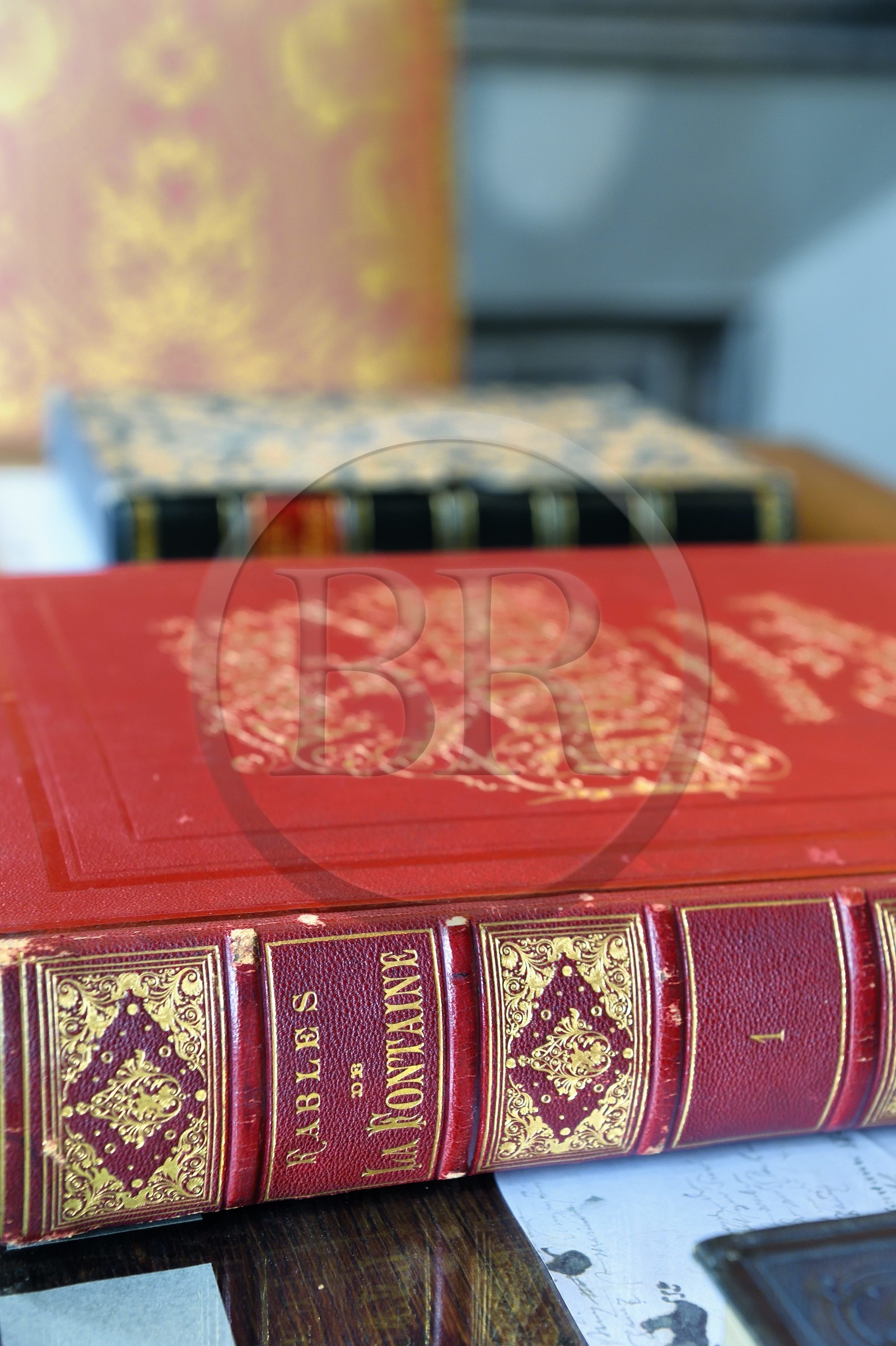 France, Aisne (02), Château-Thierry, Musée Jean de La Fontaine - Ville de Chateau-Thierry, livre des Fables de La Fontaine, L. Hachette et Cie, édition illustrée (1867, in-folio) par le dessinateur et graveur Gustave Doré France, Aisne (02), Château-Thierry, Musée Jean de La Fontaine - Ville de Chateau-Thierry, livre des Fables de La Fontaine, L. Hachette et Cie, édition illustrée (1867, in-folio) par le dessinateur et graveur Gustave Doré