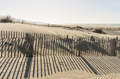 France, Gard (30), massif dunaire camarguais de la Pointe de l'Espiguette en bord de mer