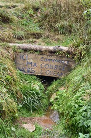 France, Ardeche, parc naturel regional des Monts d'Ardeche (Regional natural reserve of the Mounts of Ardeche), at Mont Gerbier de Jonc (altitude of 1551m), among the three sources of the Loire, the true source which corresponds to the official source (IGN map) indicated under the farm of Sagnas