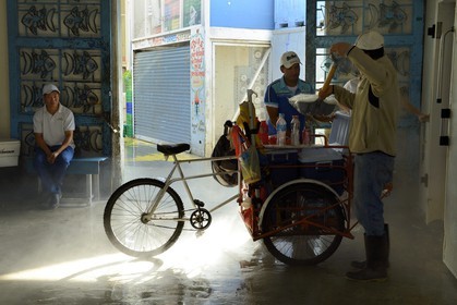 Panama, Panama City, Santa Ana neighborhood, Fish Market (Mercado de Mariscos), loading ice in a street vendor delivery tricycle