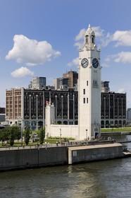 Canada, province de Québec, Montréal, quartier du Vieux-Montréal, le Vieux-Port, la tour de l'Horloge et la brasserie Molson