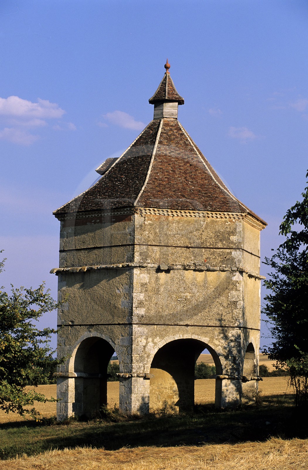 France, Gers (32), pigeonnier du château de Latour à Miramont-Latour