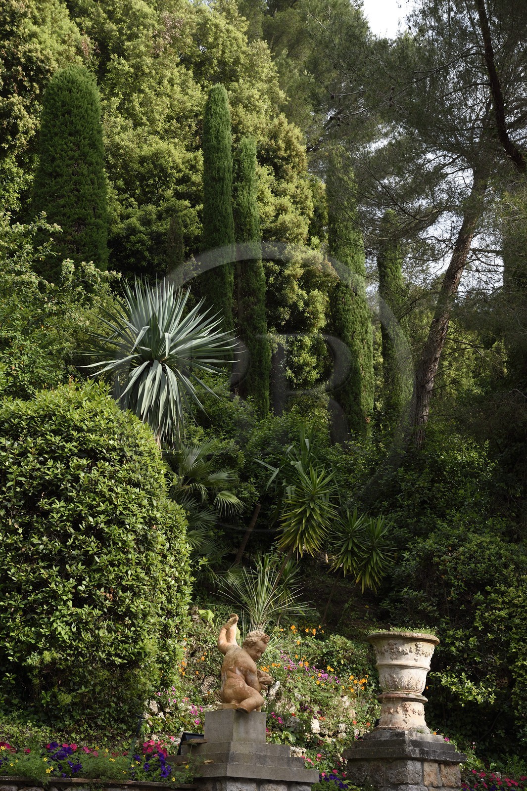 France, Alpes-Maritimes (06), Cannes, jardins de la villa Domergue