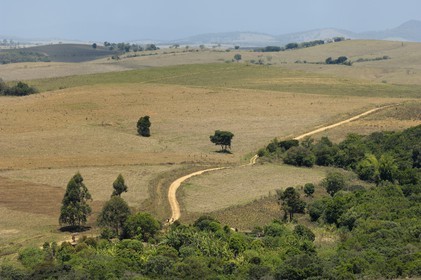 Brazil, Minas Gerais state, Carrancas area south of Sao Joao del Rei, the Gold Route track (Estrada Real)