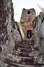 France, Bas-Rhin (67), Parc naturel régional des Vosges du Nord, Niedersteinbach, foret domaniale de Steinbach, ruines du chateau de Wasigenstein, escalier d'accès creusé à même le roc