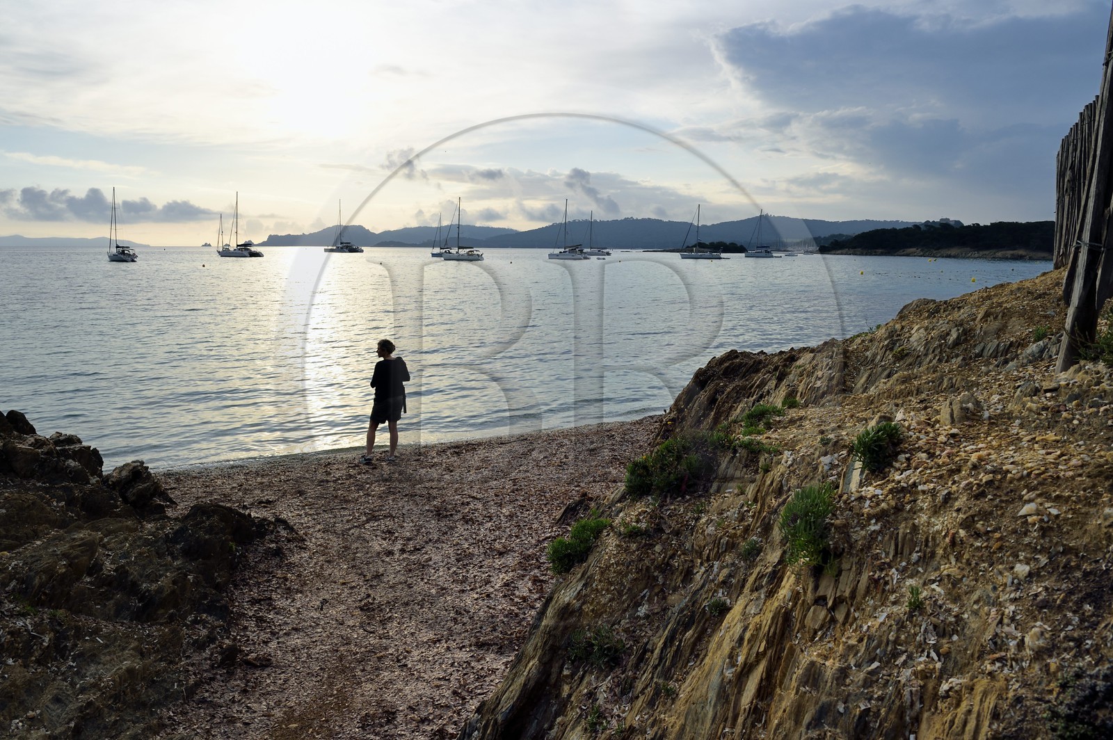 France, Var (83), Iles d'Hyères, parc national de Port Cros, Ile de Porquerolles, Anse du bon Renaud, plage d'Argent