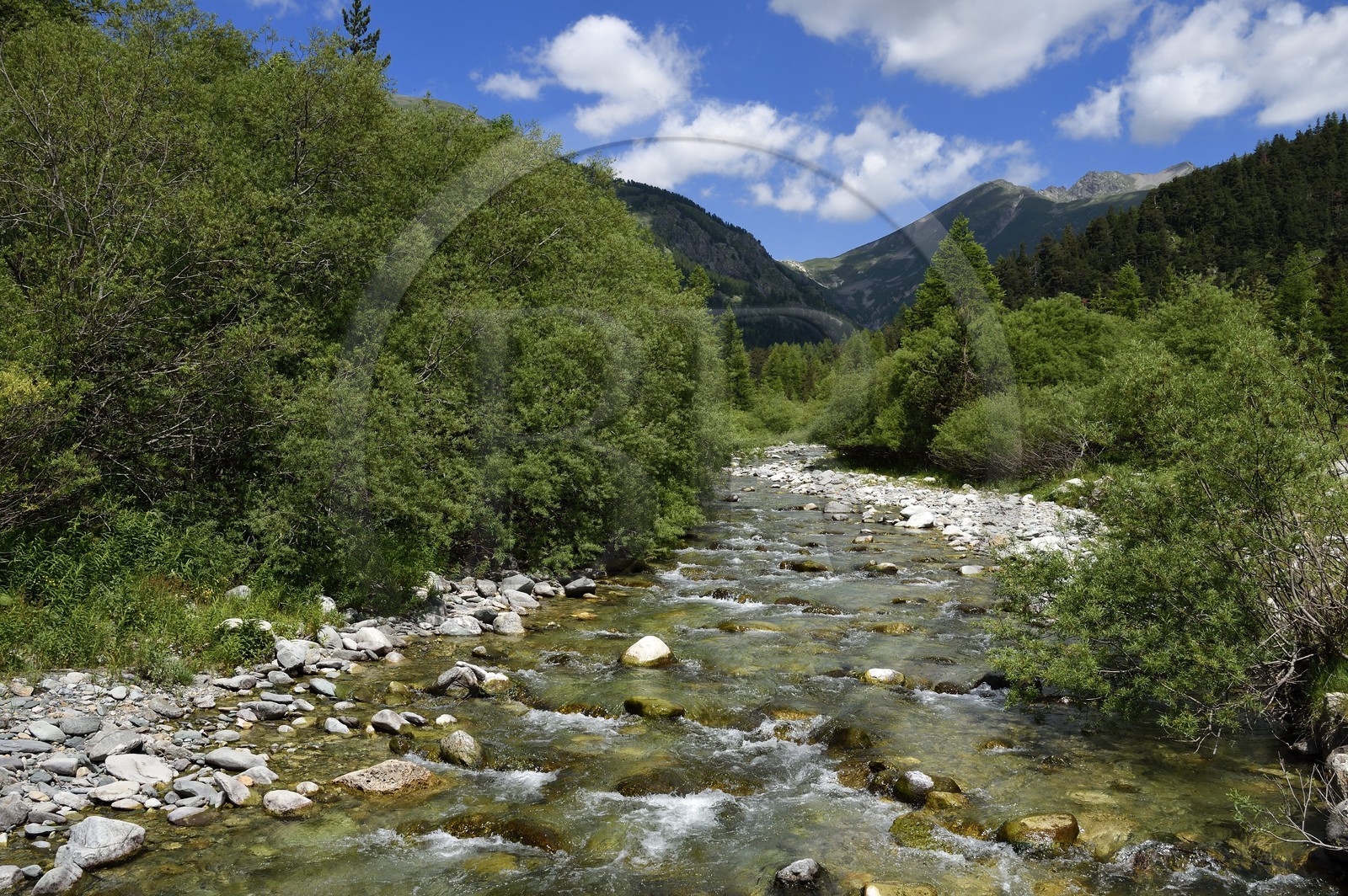 France, Alpes-Maritimes (06), vallée de la Roya (arrière-pays niçois), au pied du parc national du Mercantour, Tende, vallée de la rivière Casterine vers Casterino