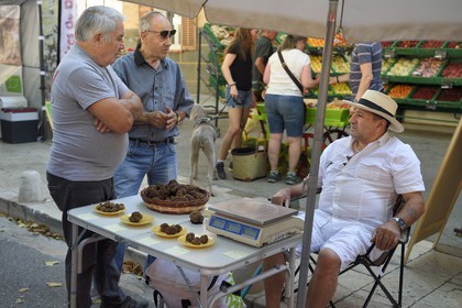 France, Var (83), Provence Verte, Cotignac, le marché sur la place principale, vendeur de truffe blanche d’été (Tuber aestivum)