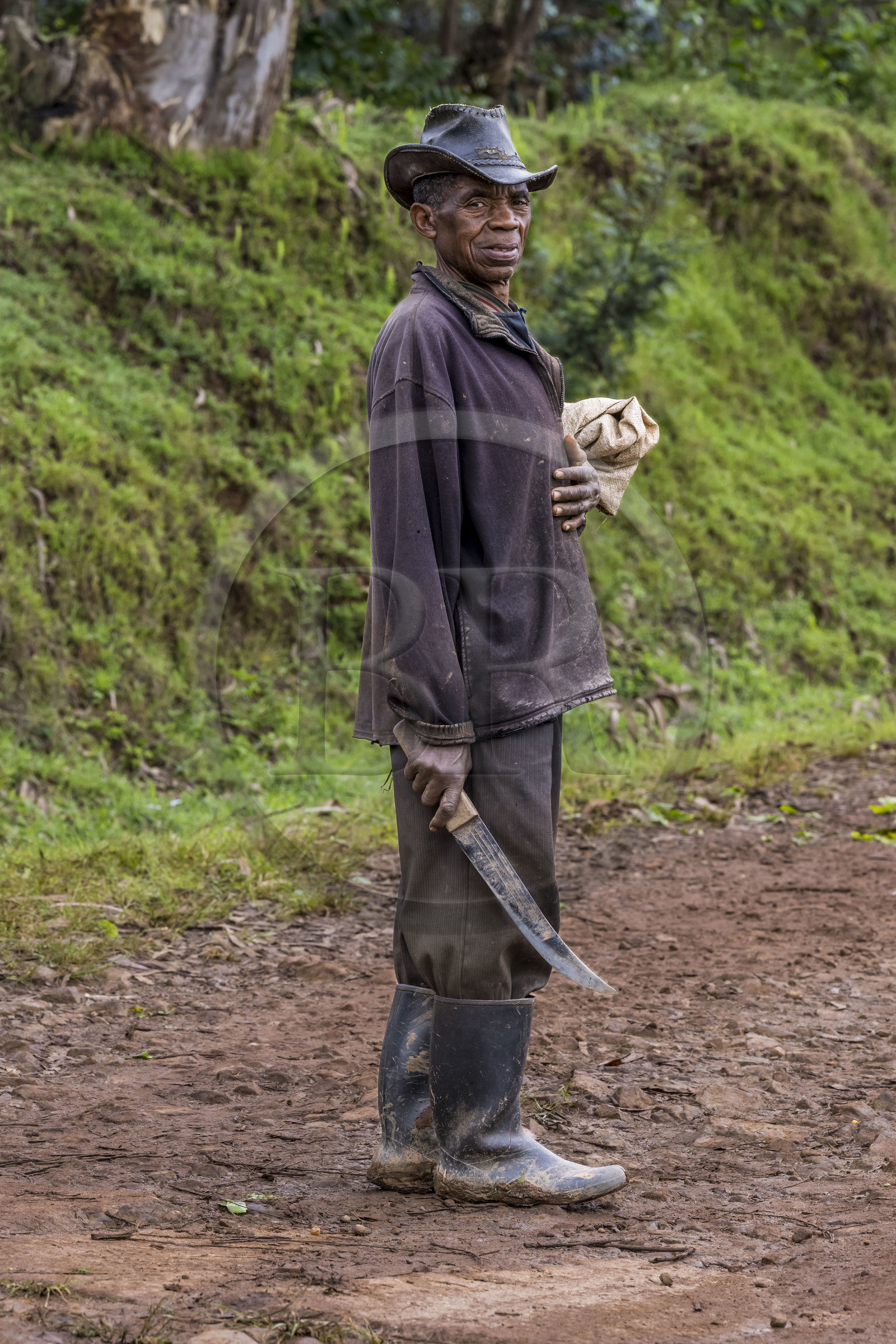 Rwanda, Province de l’Ouest, Gisuma, retour du champ pour Domitien armé de sa machette