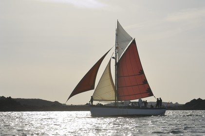 France, Manche (50), archipel des îles Chausey, le Courrier des Iles dessiné par le peintre de la marine Marin Marie