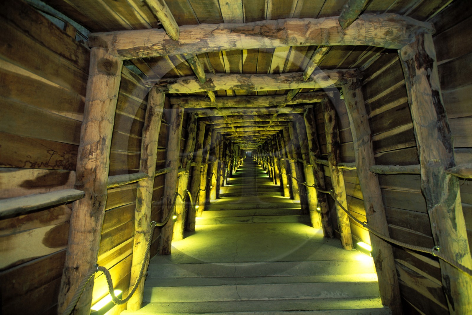 France, Aude (11), Portel-des-Corbières, Terra Vinea, les caves à vin Rocbère