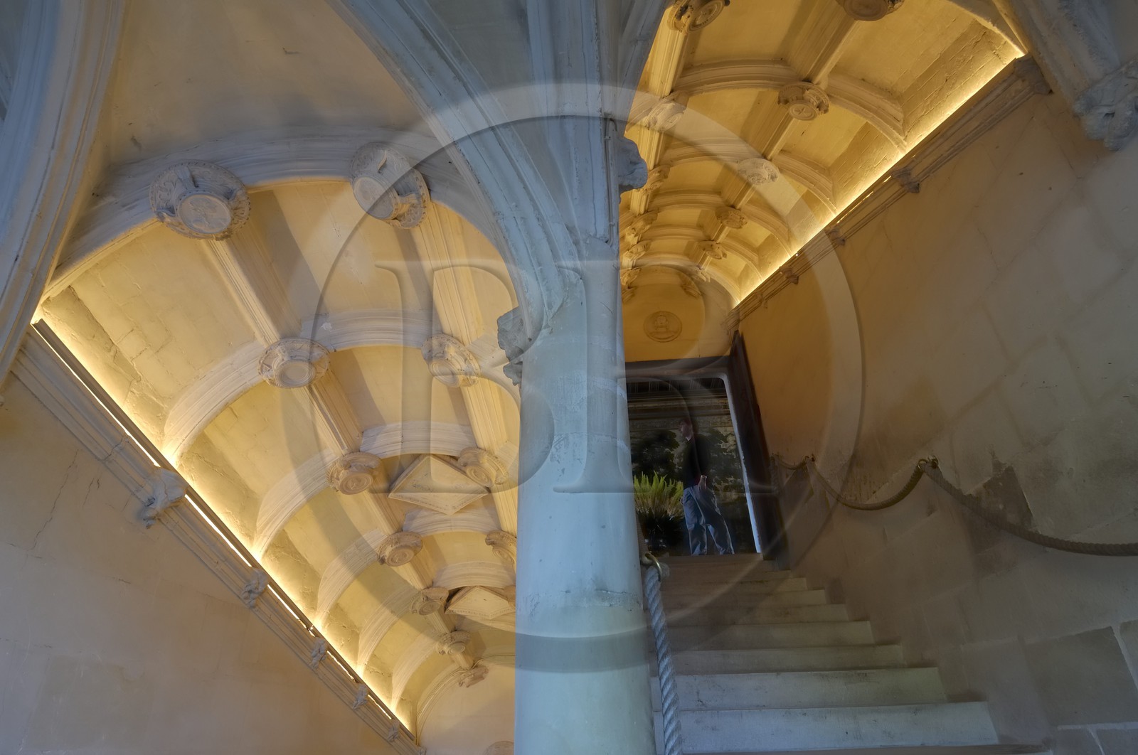 France, Indre-et-Loire (37), château de Chenonceau édifié de 1513 à 1521 de style Renaissance, l'escalier droit