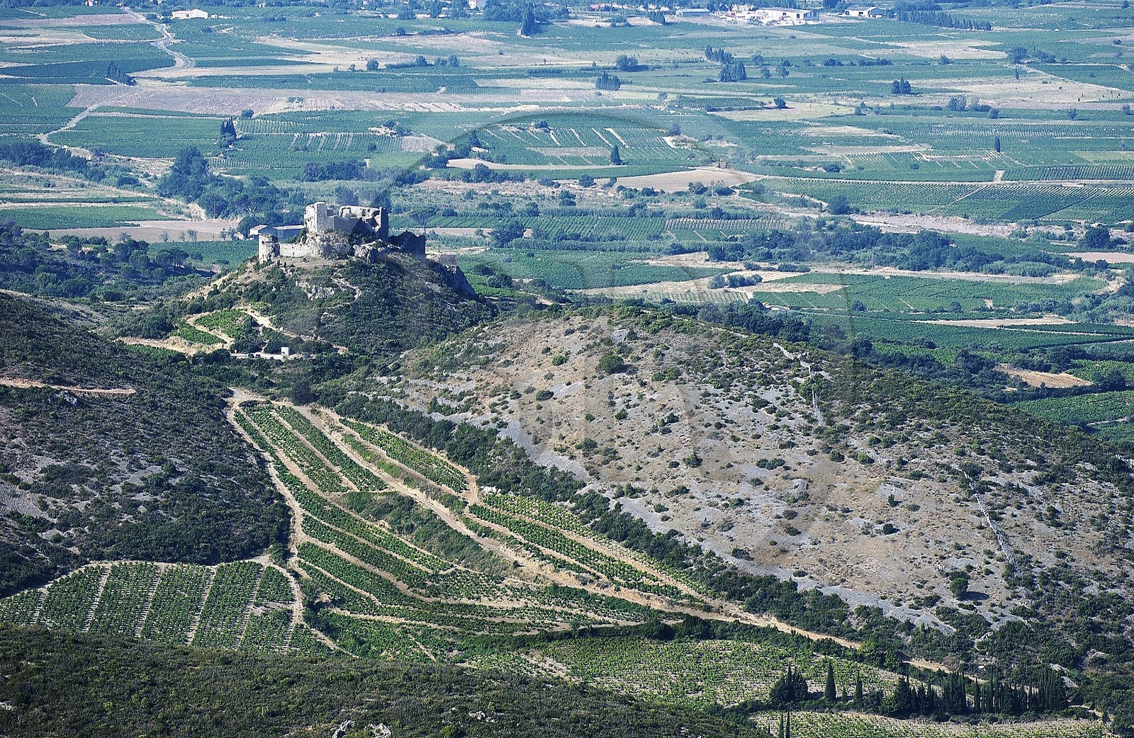 France, Aude, Aguillar cathar castle ruins overlooking Tuchan vineyard in the heart of Corbieres (aerial view)