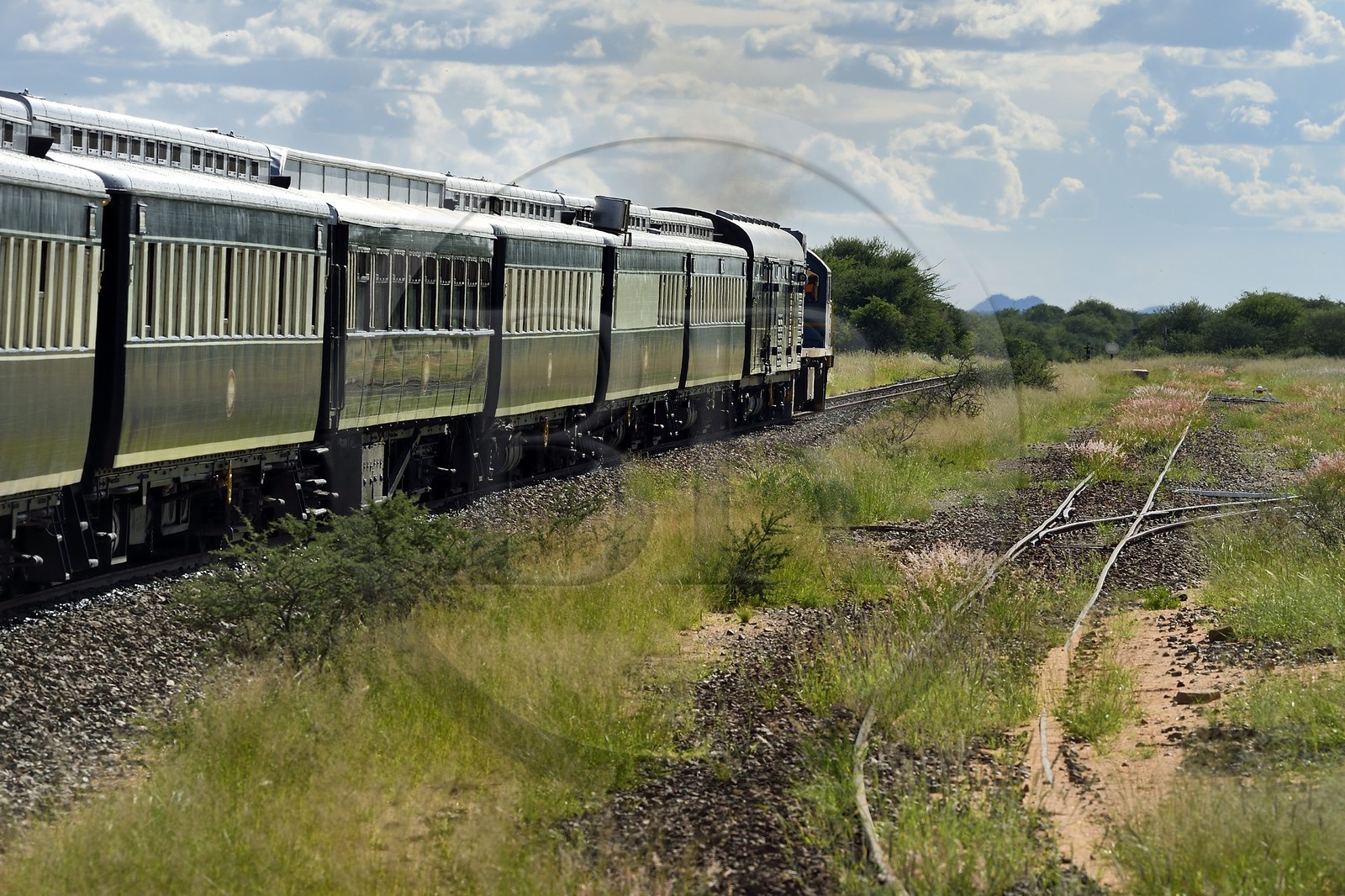 Namibie, région de Otjozondjupa, le train Shongololo express traversant le bush namibien