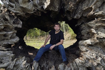 France, Var, Massif des Maures, Collobrières, plateau Lambert, calcined stump of Madame de Sevigne chestnut, self portrait Bertrand Rieger