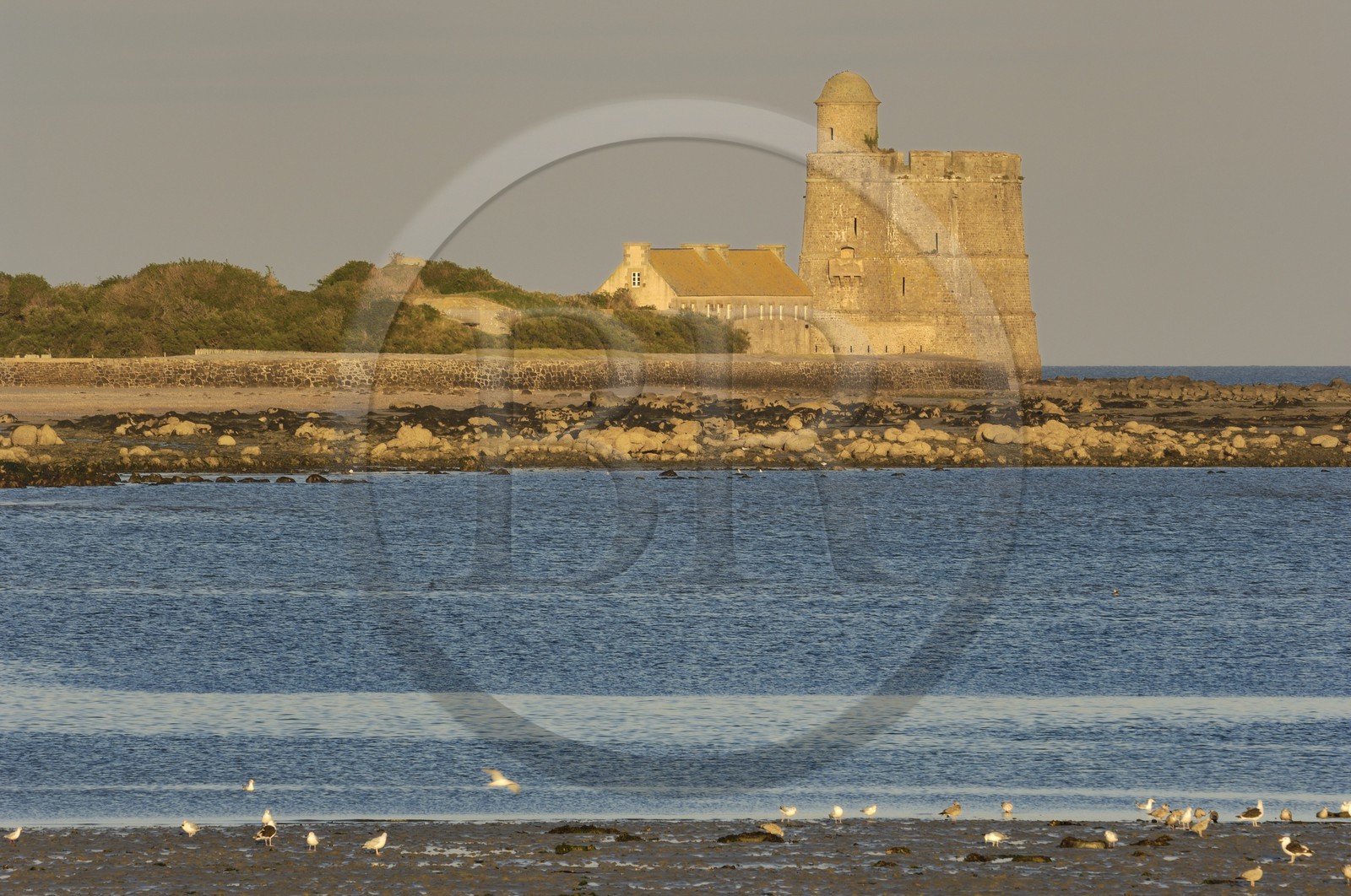 France, Manche (50), Val de Saire, région de Saint-Vaast-la-Hougue, son fort Vauban classé Patrimoine Mondial de l'UNESCO de l'Ilet Vauban sur l'Ile de Tatihou France, Manche (50), Val de Saire, région de Saint-Vaast-la-Hougue, son fort Vauban classé Patrimoine Mondial de l'UNESCO de l'Ilet Vauban sur l'Ile de Tatihou