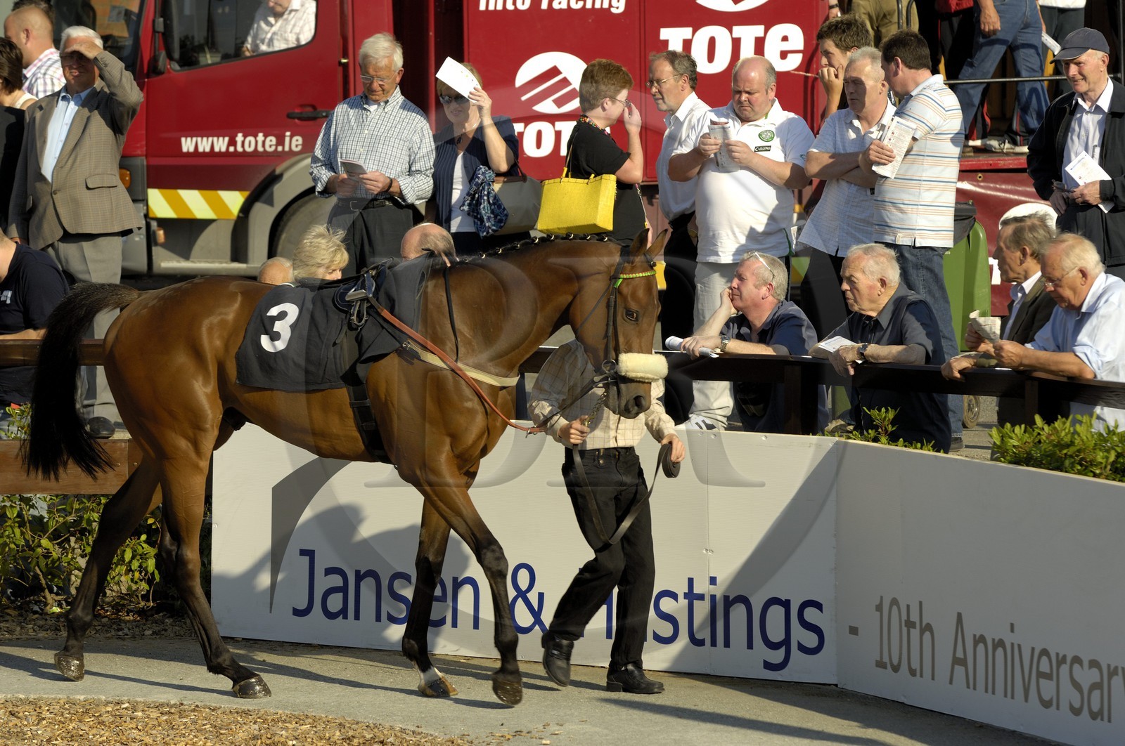Irlande, Co. Meath, hippodrome de Fairyhouse, présentation des chevaux avant la course