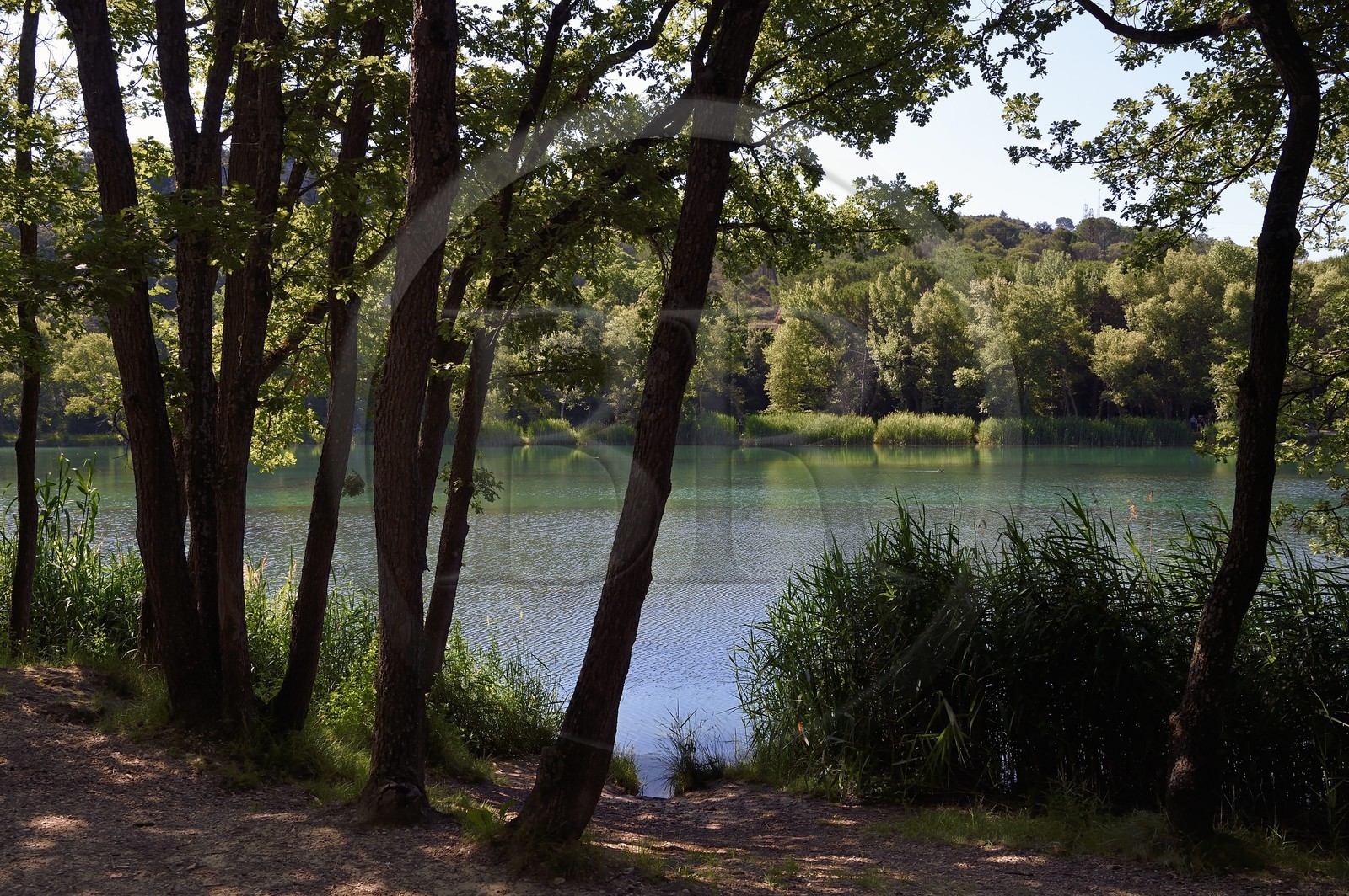 France, Alpes-de-Haute-Provence (04), parc naturel régional du Verdon, Gréoux-les-Bains, les rives du Verdon