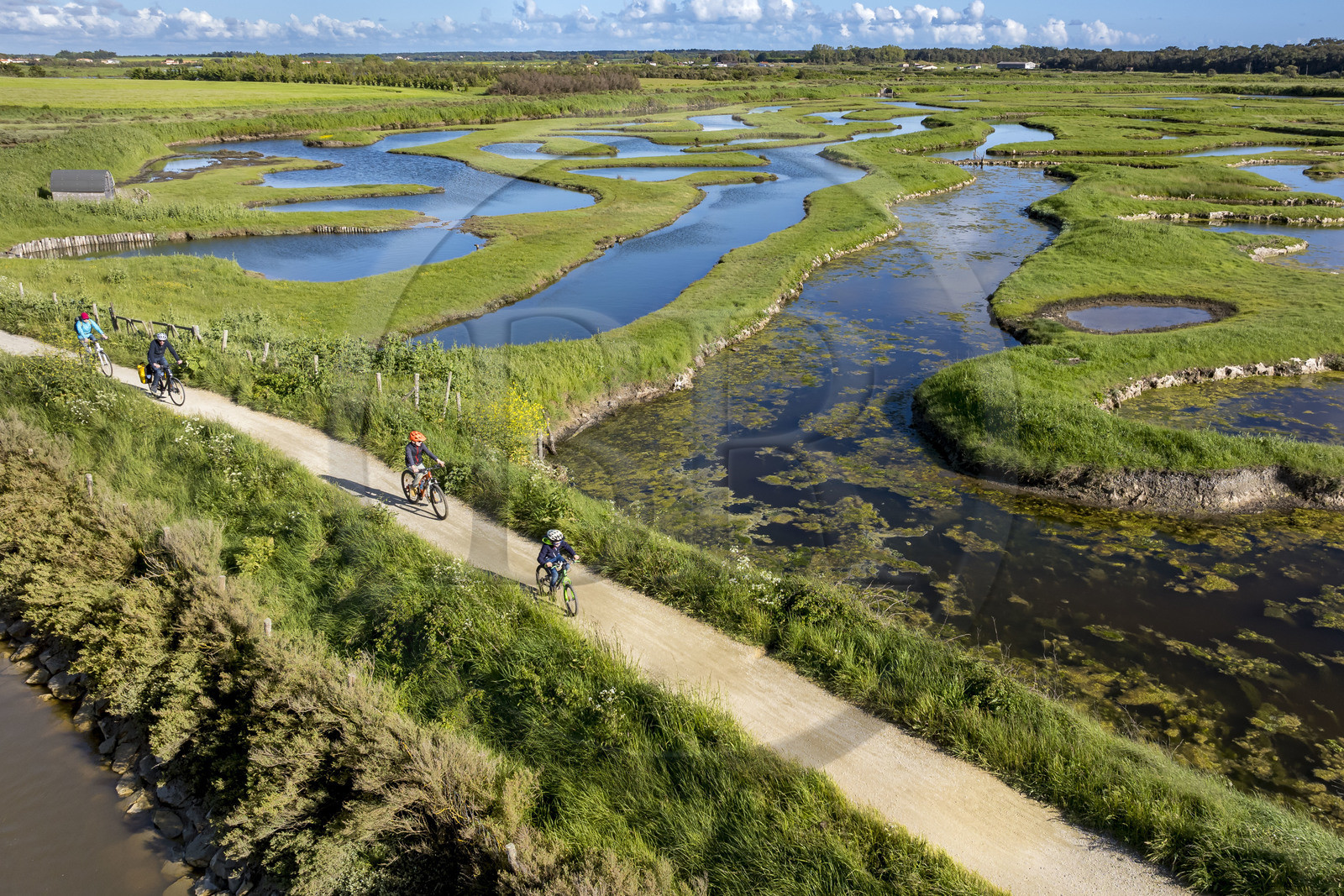 France, Vendée (85), Talmont-Saint-Hilaire, marais de la Guittière dans l'arrière pays de la Pointe du Payré, cycliste sur la piste de la véloroute Vendée Vélo Tour et Vélodyssée au passage du Cul d’Ane, marais aménagés pour la pisciculture de dorades, mulets et anguilles (vue aérienne)