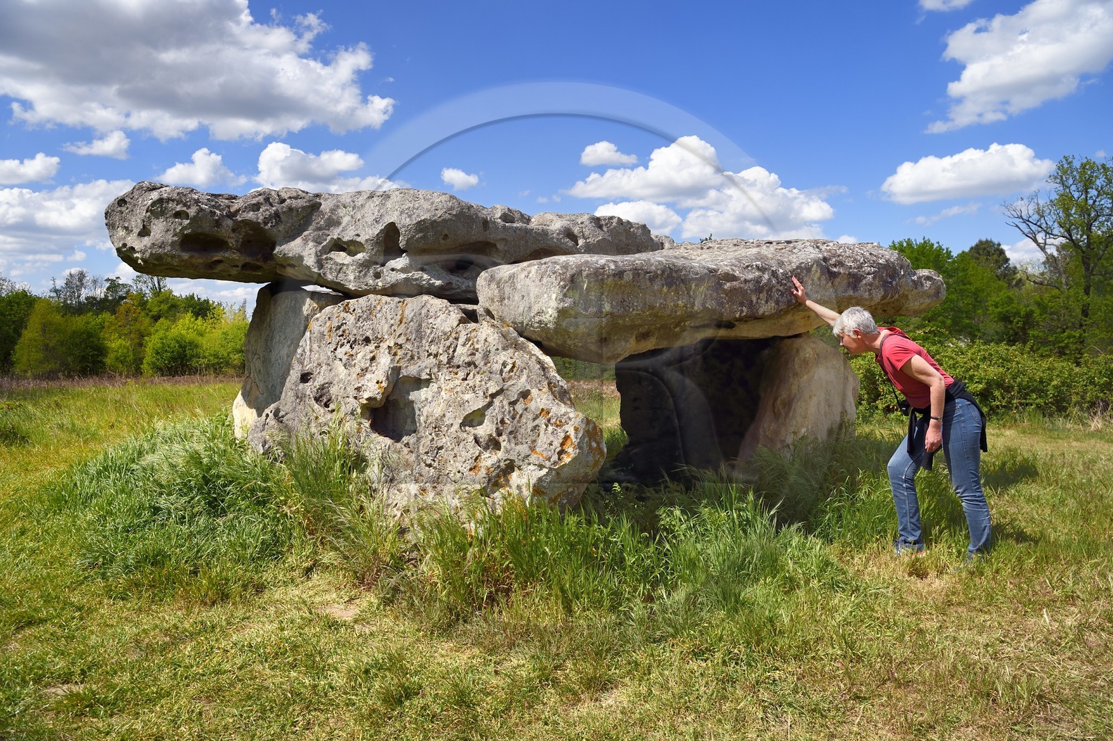 France, Charente (16), Saint-Brice,  dolmen de Garde-Épée