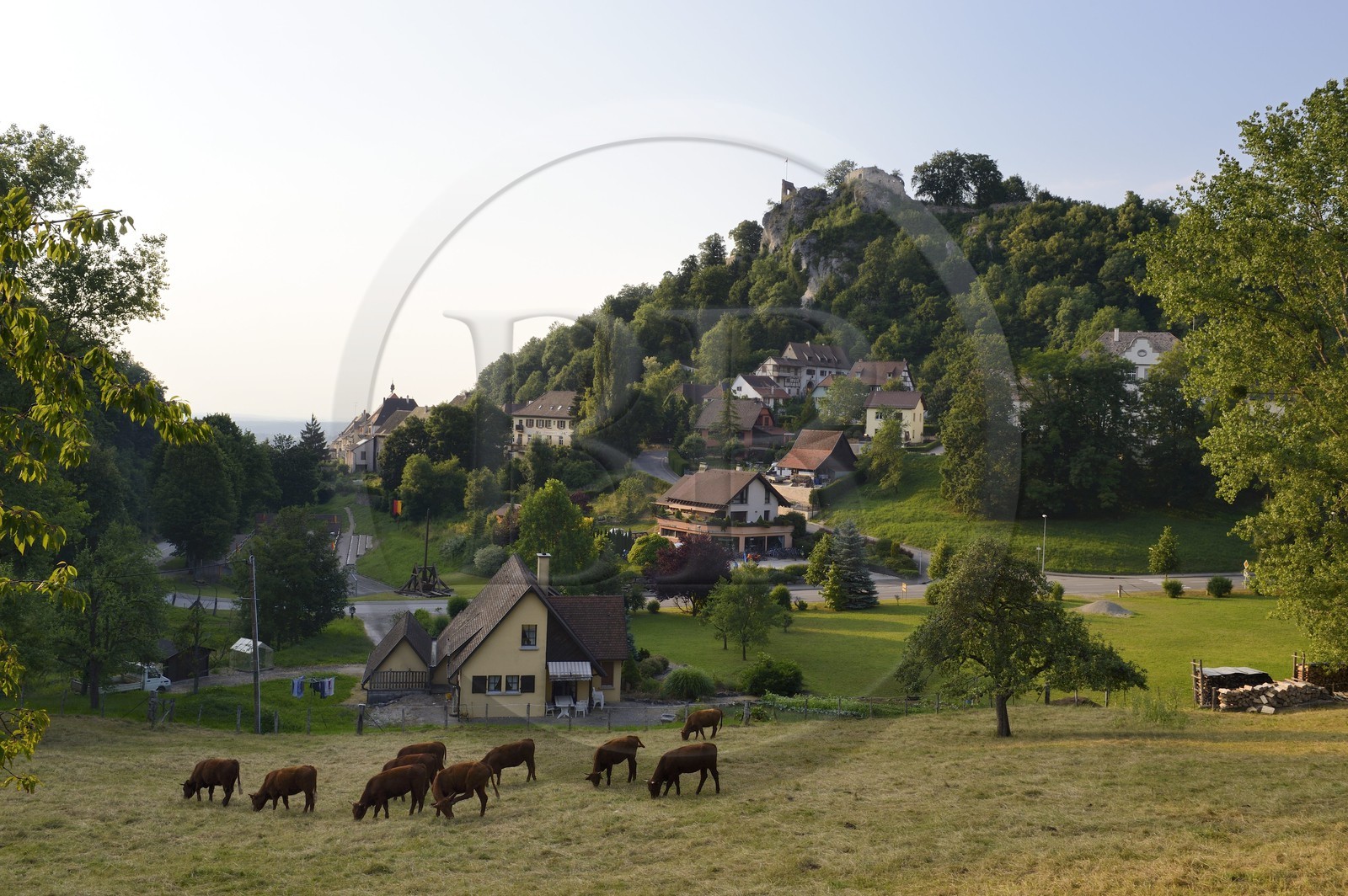 France, Haut-Rhin (68), Sundgau, Ferrette dominé par son chateau