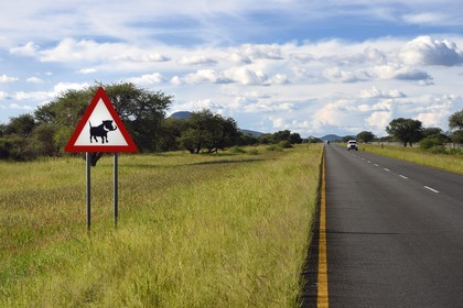 Namibie, région de Otjozondjupa, route nationale B1, panneau danger phacochère