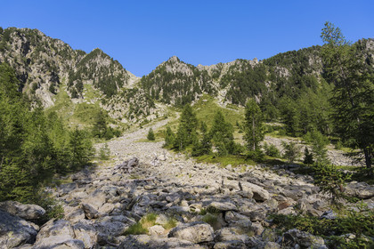 France, Alpes-Maritimes, Parc National du Mercantour (Mercantour national park), Haute Vesubie, Saint Martin Vesubie, Val du Haut Boréon, scree under the lake of Trecolpas