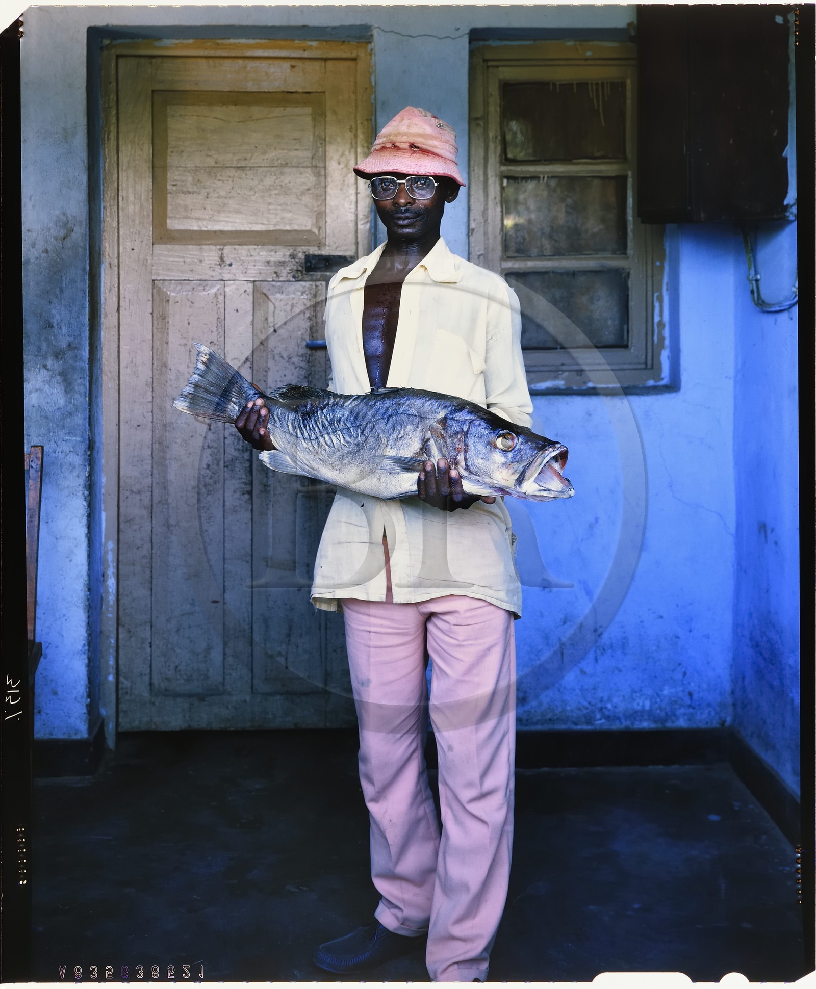 Burundi, province de Rumonge, jeune pêcheur Hutu qui présente un capitaine probable perche du Nil (Lates niloticus) (reproduction plan-film inversible 4x5)