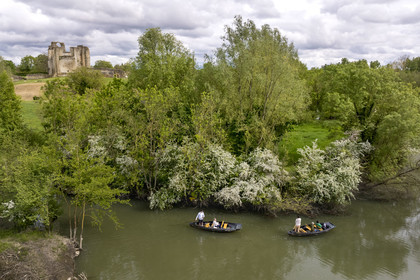 France, Vendée (85), Parc Interrégional du Marais Poitevin labellisé Grand Site de France, Maillezais, batelier effectuant une promenade en barque sur les affluents de l'Autise, les vestiges de l'abbaye Saint-Pierre de Maillezais en arrière plan (vue aérienne)