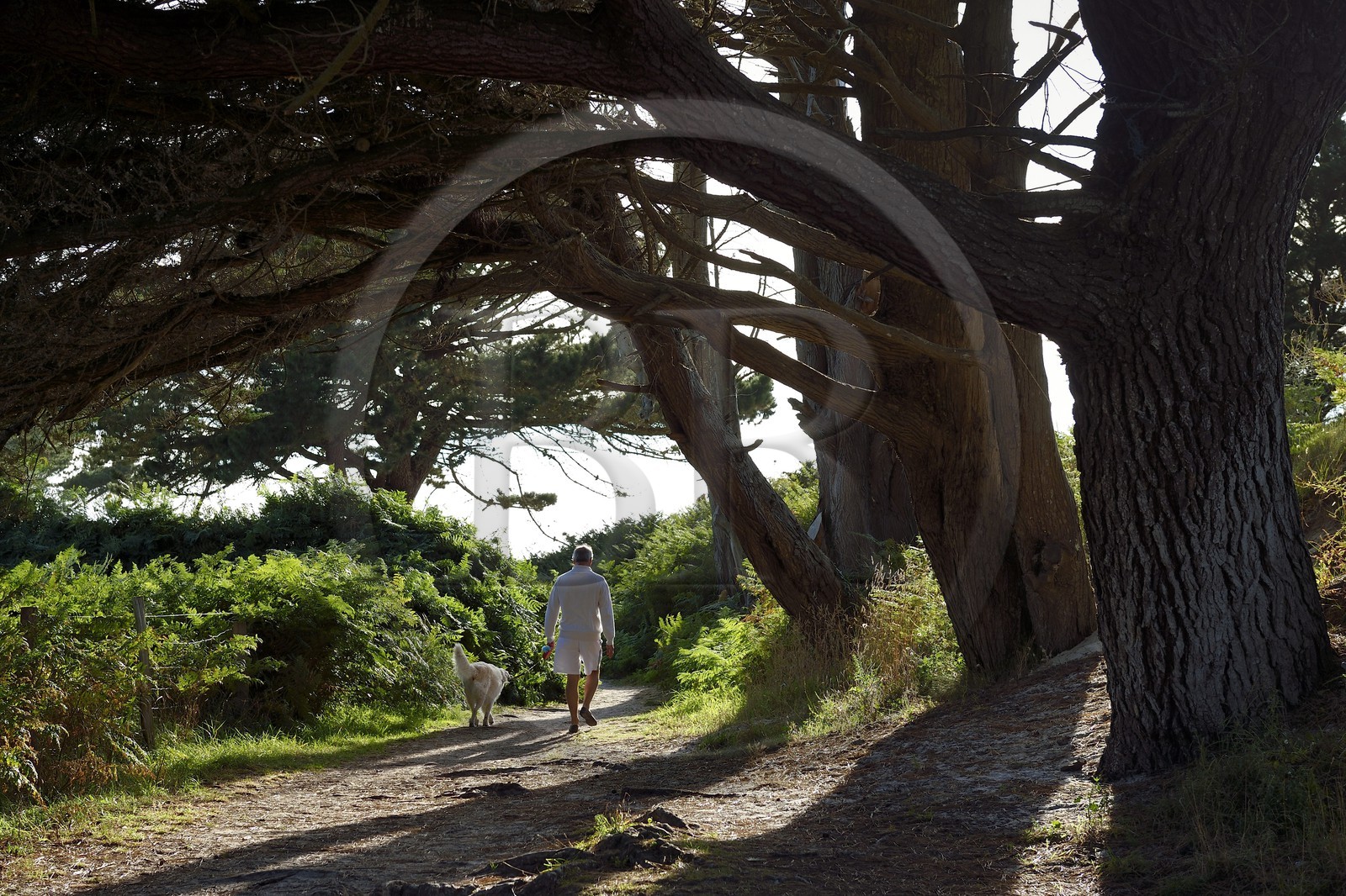 France, Finistère (29), région de Concarneau, Tregunc, bords de mer à la Pointe de la Jument