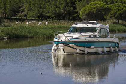 France, Gard, the Petite Camargue at Aigues-Mortes, navigation of a pleasure boat on the Canal du Rhône à Sète