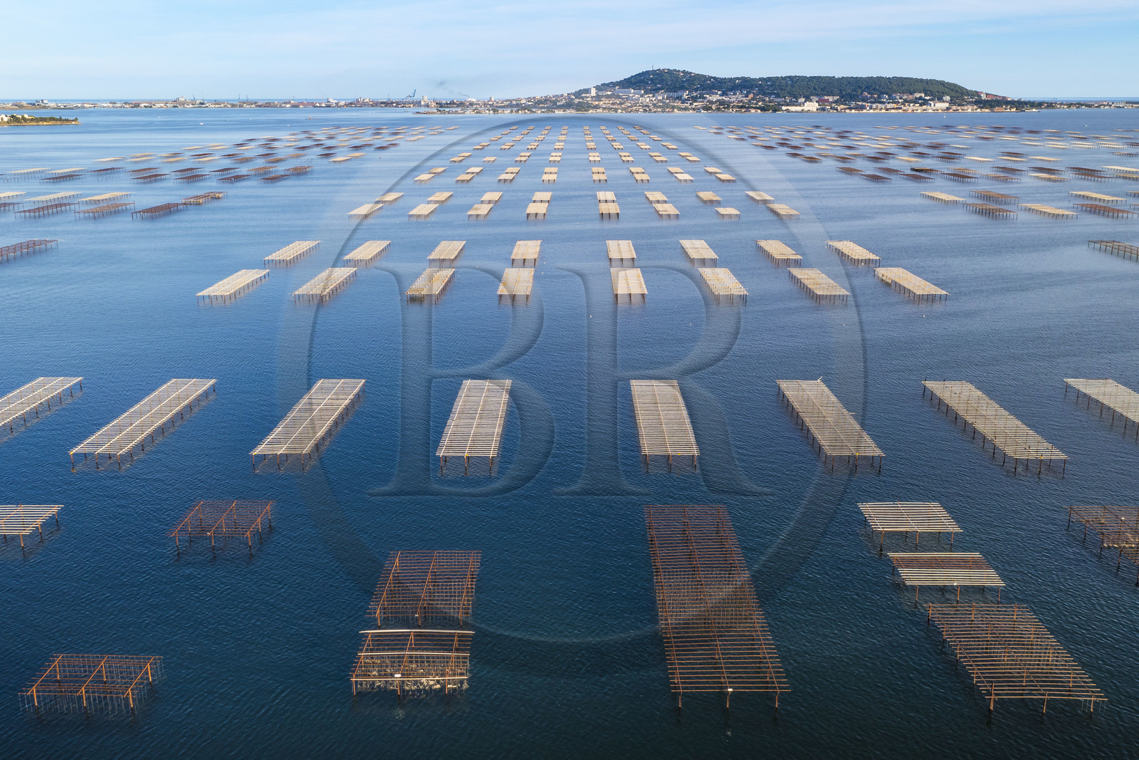 France, Hérault (34), Bouzigues, exploitations ostréicoles des parc à huitres sur l'Etang de Thau, le Mont Saint-Clair et Sète en arrière plan (vue aérienne)