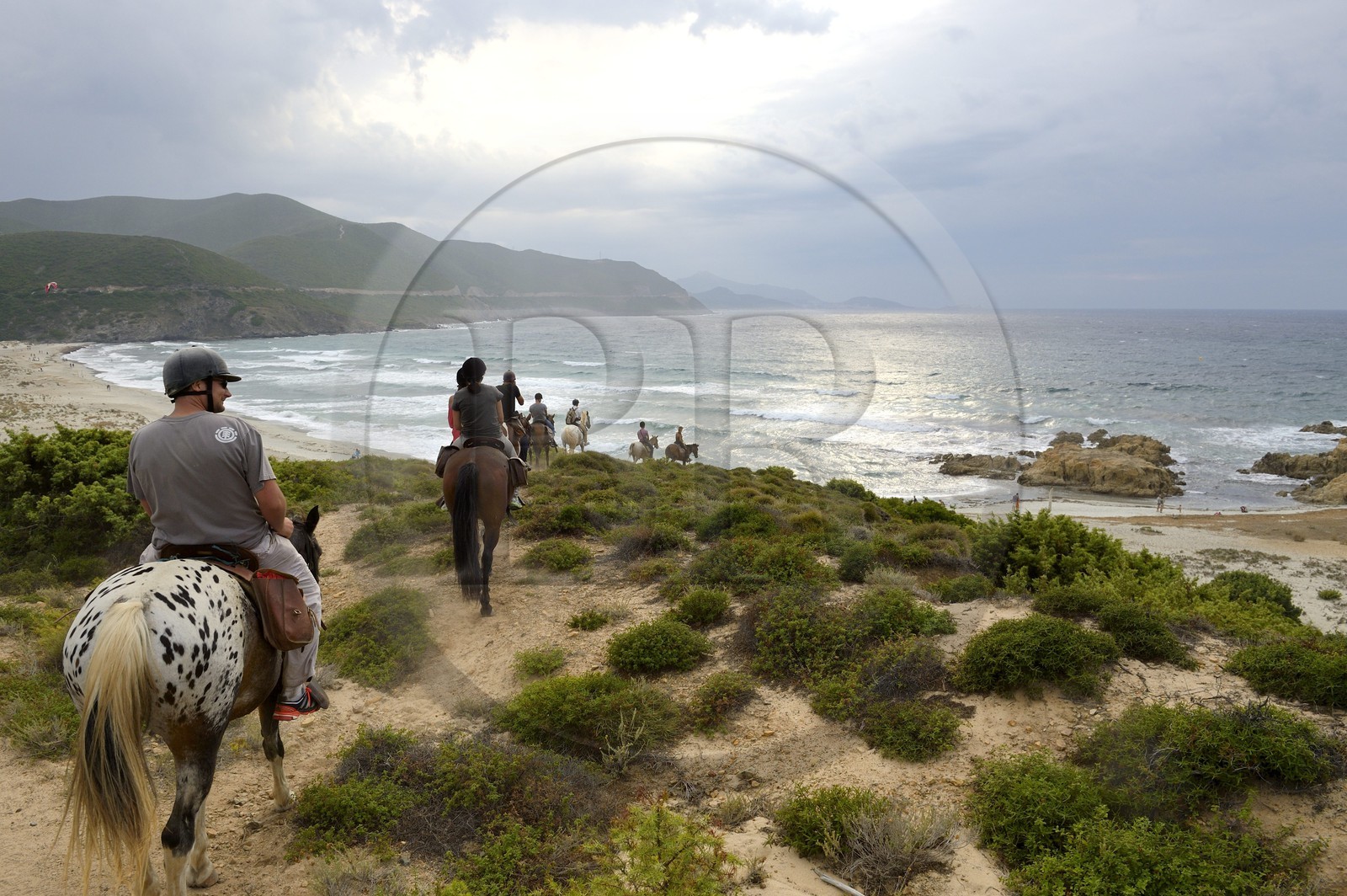 France, Haute-Corse (2B), Nebbio, désert des Agriates, Anse de Peraiola, cavaliers au Nord-Est de la plage d'Ostriconi à la Punta di l’Acciolu (Acciola)
