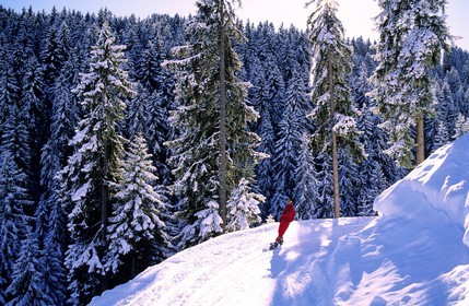 Switzerland, region of Bern (Bernese Oberland), Saanenland, ski run in Gstaad